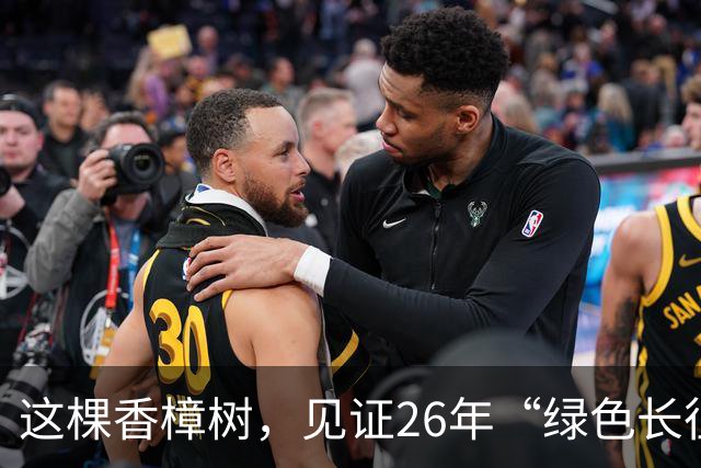 这棵香樟树，见证26年“绿色长征”